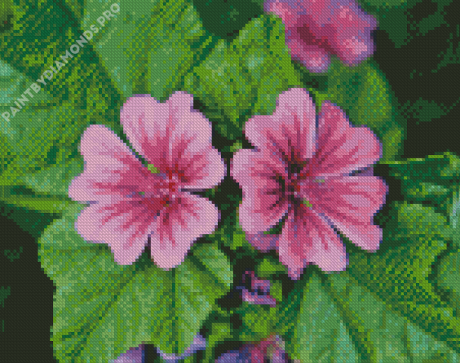 Mallow Flowers Diamond Painting