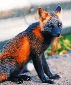 Melanistic Cross Fox Diamond Painting