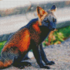 Melanistic Cross Fox Diamond Painting