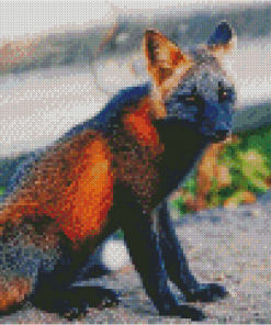 Melanistic Cross Fox Diamond Painting