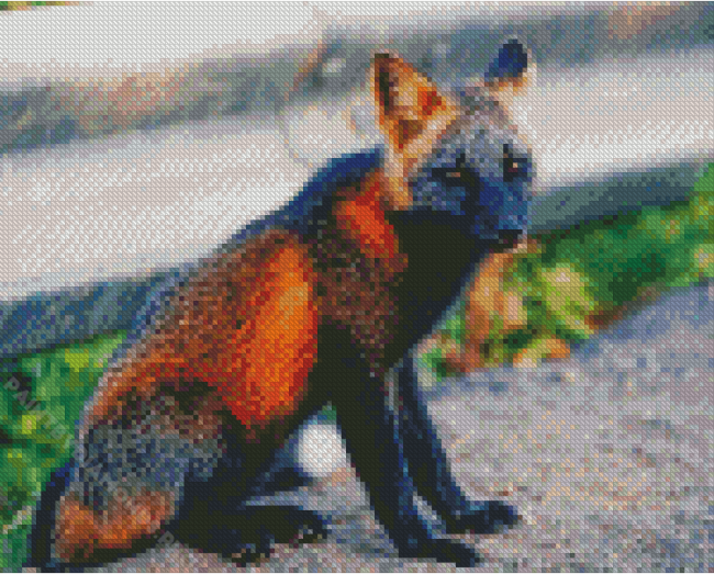 Melanistic Cross Fox Diamond Painting