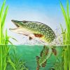 Northern Pike Fish Diamond Painting