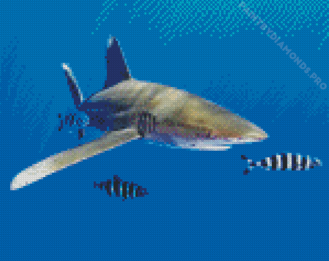 Oceanic Whitetip Shark Diamond Painting