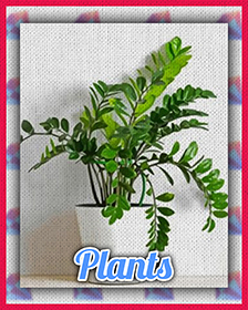 Plants