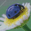 Purple Ladybug Insect Diamond Painting