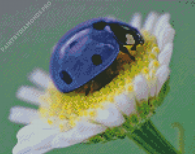 Purple Ladybug Insect Diamond Painting