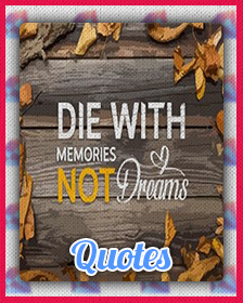 Quotes