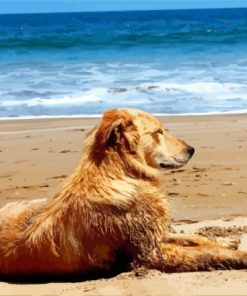 Relaxing Dog In The Beach Diamond Painting