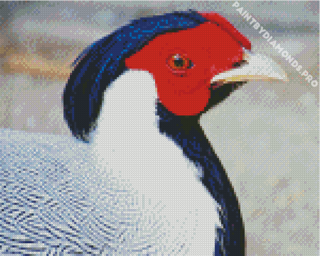 Silver Pheasant Diamond Painting