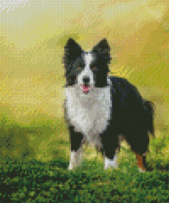 Smooth Collie Diamond Painting