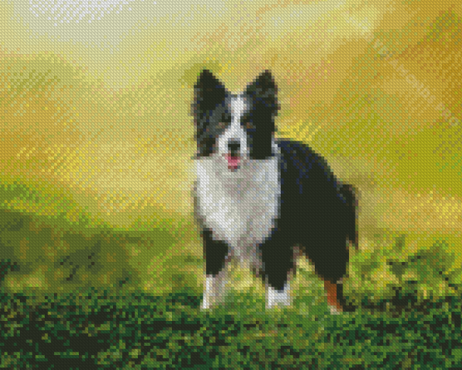 Smooth Collie Diamond Painting