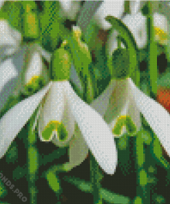 Snowdrops Flowers Diamond Painting