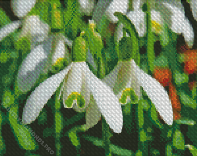 Snowdrops Flowers Diamond Painting