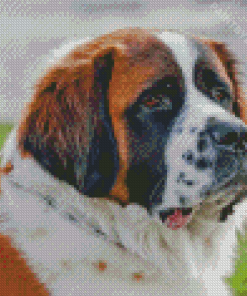 St Bernard Diamond Painting