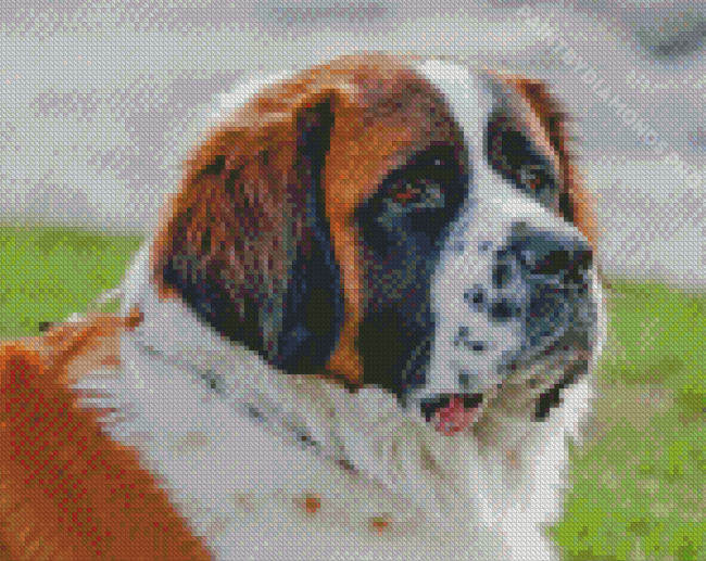 St Bernard Diamond Painting