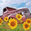 Sunflower And Old Farm Truck Diamond Painting