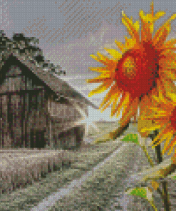 Sunflowers And Old Barn Farm Diamond Painting