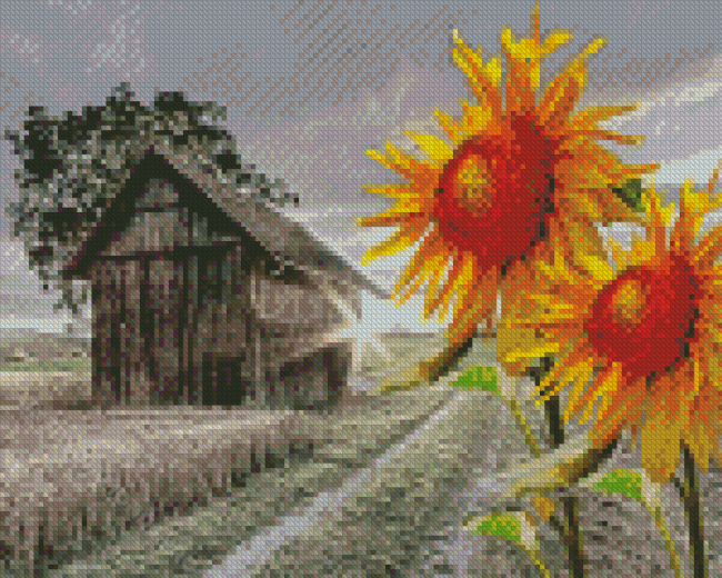 Sunflowers And Old Barn Farm Diamond Painting