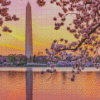 Sunset Cherry Blossom Washington Monument Diamond Painting