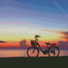 Sunset Bicycle Tour Diamond Painting