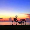 Sunset Bicycle Tour Diamond Painting