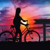 Sunset Bicycle Tour Silhouette Diamond Painting