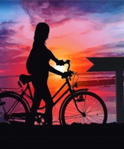 Sunset Bicycle Tour Silhouette Diamond Painting