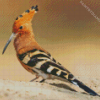 The Hoopoe Diamond Painting