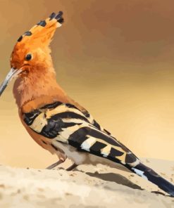 The Hoopoe Diamond Painting