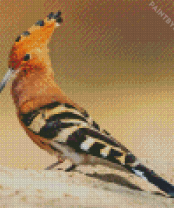 The Hoopoe Diamond Painting