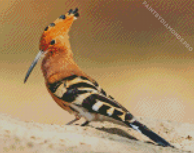 The Hoopoe Diamond Painting