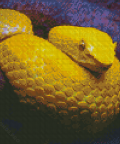 The Yellow Snake Viper Diamond Painting