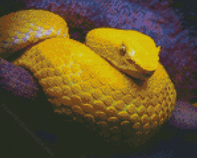 The Yellow Snake Viper Diamond Painting