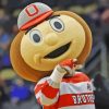 The Mascot Brutus Buckeye Diamond Painting