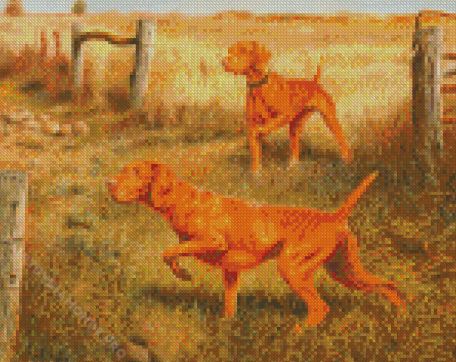 Vizsla Dogs Diamond Painting