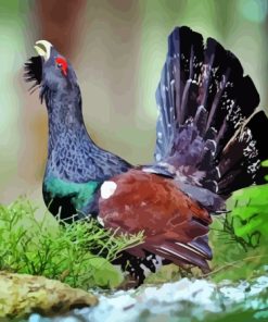 Western Capercaillie Diamond Painting