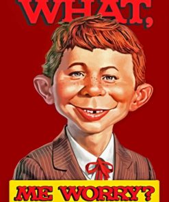 What We Worry Alfred E Neuman Poster Diamond Painting