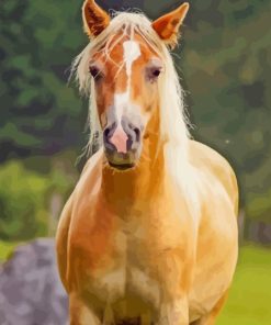 Wild Haflinger Horse Animal Diamond Painting