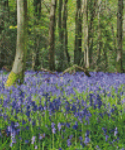 Woodland Bluebell Diamond Painting