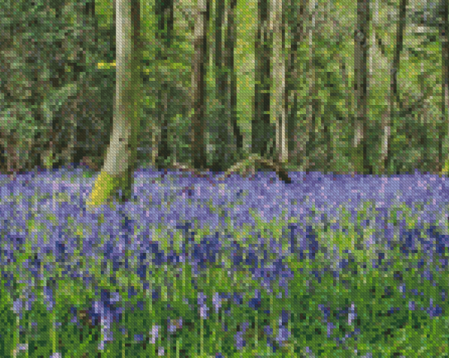 Woodland Bluebell Diamond Painting