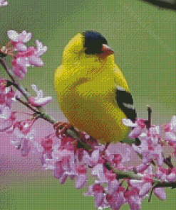 Yellow Finche Bird Diamond Painting