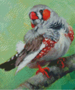 Zebra Finch Bird Diamond Painting