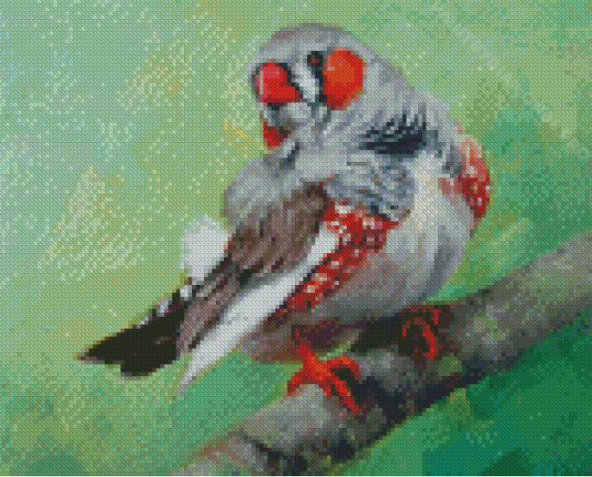 Zebra Finch Bird Diamond Painting