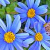 Aesthetic Blue Daisies Diamond Painting