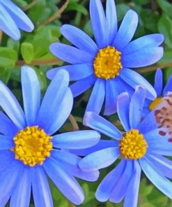 Aesthetic Blue Daisies Diamond Painting