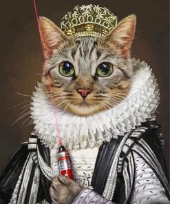 Aesthetic King Meow Diamond Painting