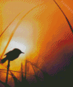 Bird Silhouette Diamond Painting