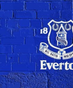 Everton Crest Logo Diamond Painting