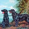 Flat Coated Retriever Dogs Diamond Painting