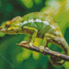 Green Cameleon Diamond Painting